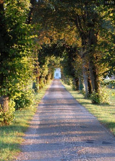 Chateau Belles Graves Pomérols Exterior foto