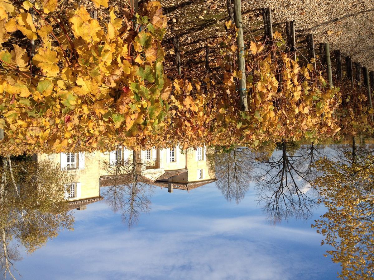 Chateau Belles Graves Pomérols Exterior foto